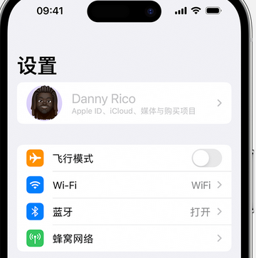 和布克赛尔appleID维修服务iPhone设置中Apple ID显示为灰色无法使用 