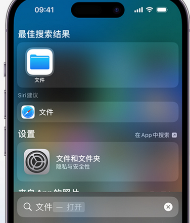 和布克赛尔apple维修中心分享iPhone文件应用中存储和找到下载文件 