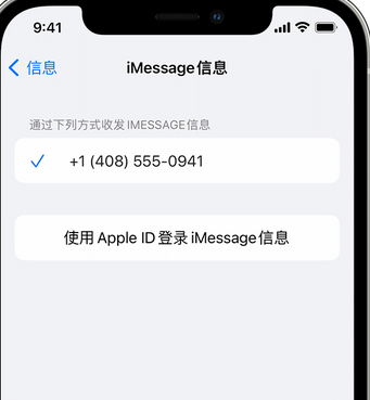 和布克赛尔apple维修iPhone上无法正常发送iMessage信息 