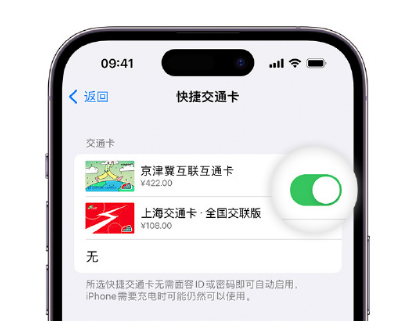 和布克赛尔apple维修点分享iPhone上更换Apple Pay快捷交通卡手绘卡面 