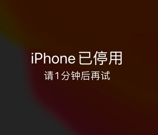 和布克赛尔苹果手机维修分享:iPhone 显示“不可用”或“已停用”怎么办？还能保留数据吗？ 