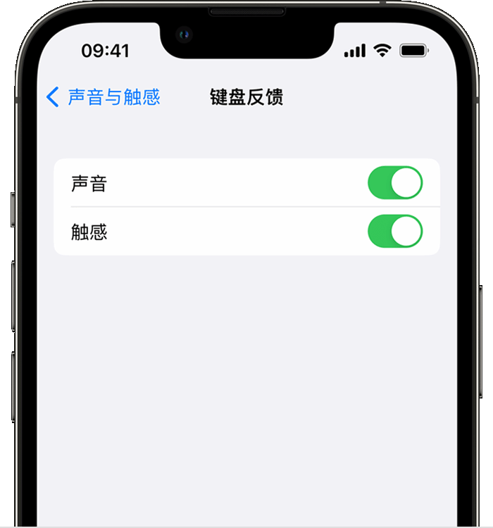 和布克赛尔苹果14维修店分享如何在 iPhone 14 机型中使用触感键盘 