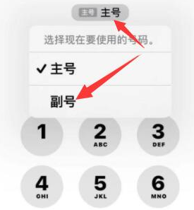 和布克赛尔苹果14维修店分享iPhone 14 Pro Max使用副卡打电话的方法 