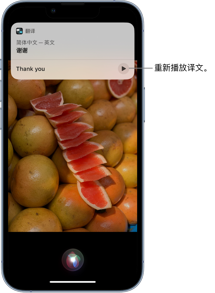 和布克赛尔苹果14维修分享 iPhone 14 机型中使用 Siri：了解 Siri 能帮你做什么 