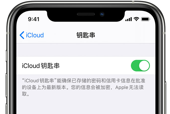 和布克赛尔苹果手机维修分享在 iPhone 上开启 iCloud 钥匙串之后会储存哪些信息 