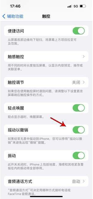 和布克赛尔苹果手机维修分享iPhone手机如何设置摇一摇删除文字 